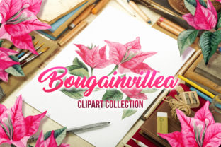 Bougainvillea Floral Clipart: A Versatile Resource for Designers, Educators, and Plant Enthusiasts