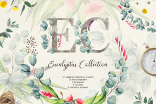 Eucalyptus Collection Letter: A Strategic Creative Asset for Intentional Design