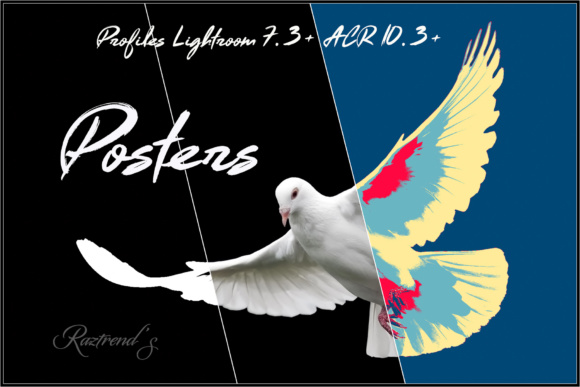 Posters Profiles: Streamlined Posterization for Modern Lightroom and Camera Raw Workflows