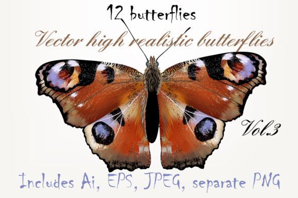 Set of Vector Butterflies: 12 High-Detail Designs