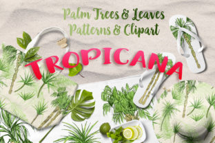 Tropicana - Palm Trees Leaves Set